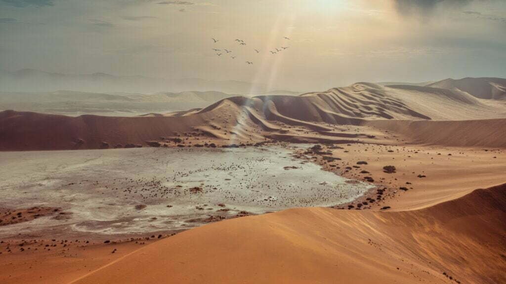 brown sand under sunny sky